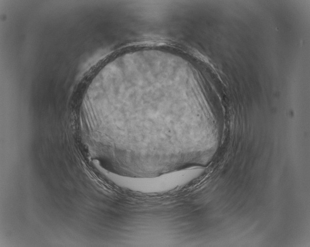 X0000067351448200604281430