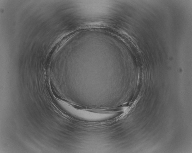 X0000067351449200604281430