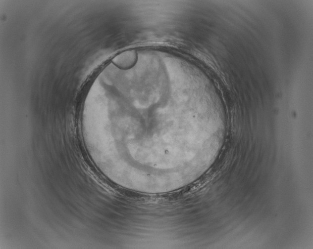 X0000067351452200604281430