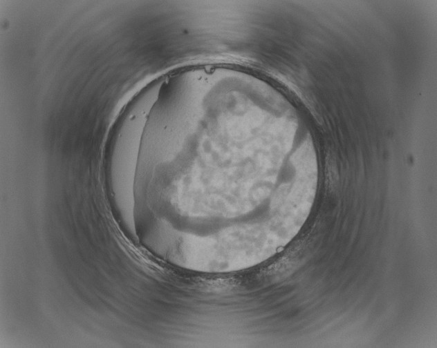 X0000067351460200604281430