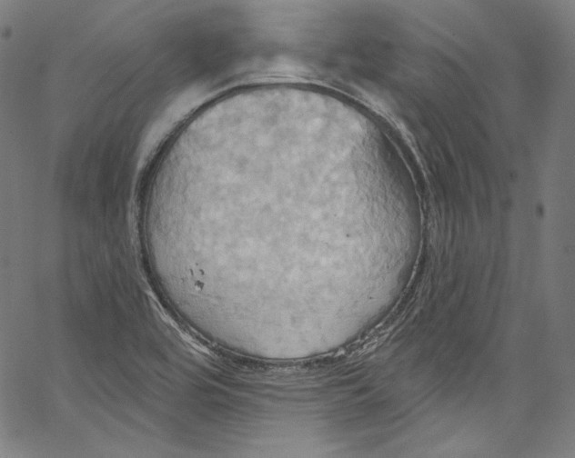 X0000067351464200604281429