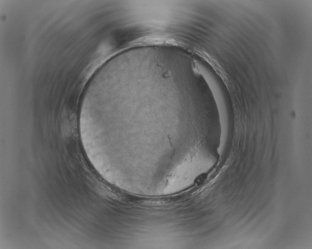 X0000067351465200604281429