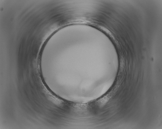 X0000067351466200604281429