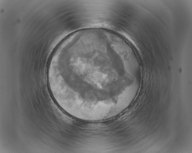 X0000067351468200604281429