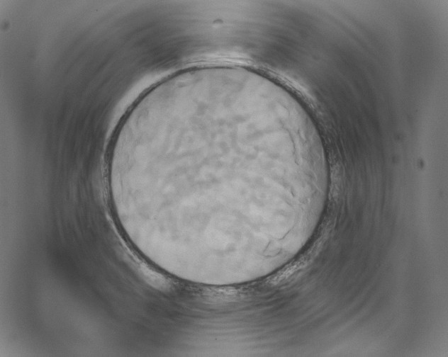 X0000067351470200604281429