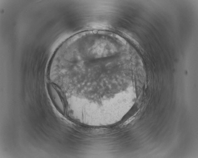 X0000067351471200604281429