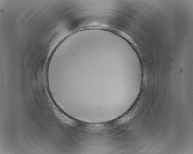 X0000067351474200604281429