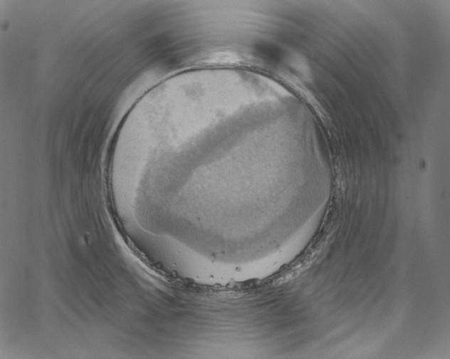 X0000067351475200604281429