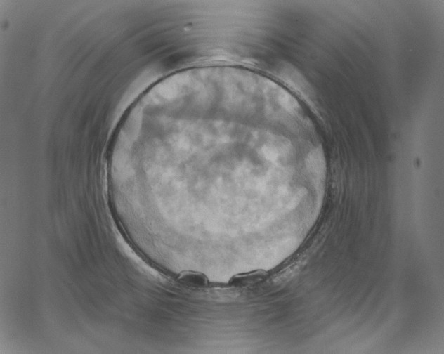 X0000067351476200604281429