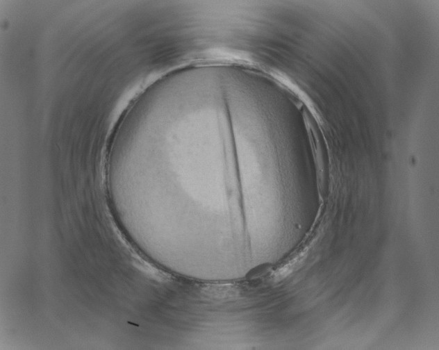 X0000067351477200604281429