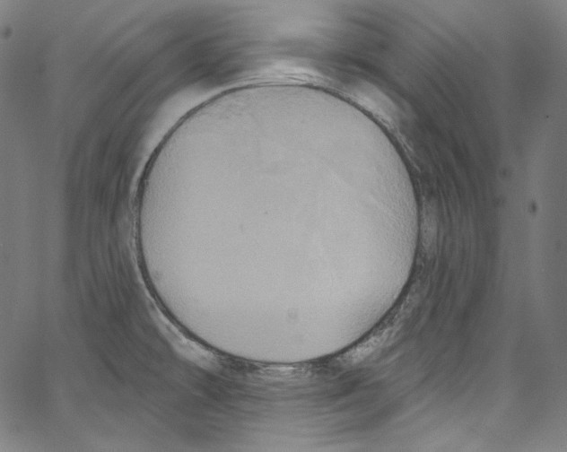 X0000067351478200604281429