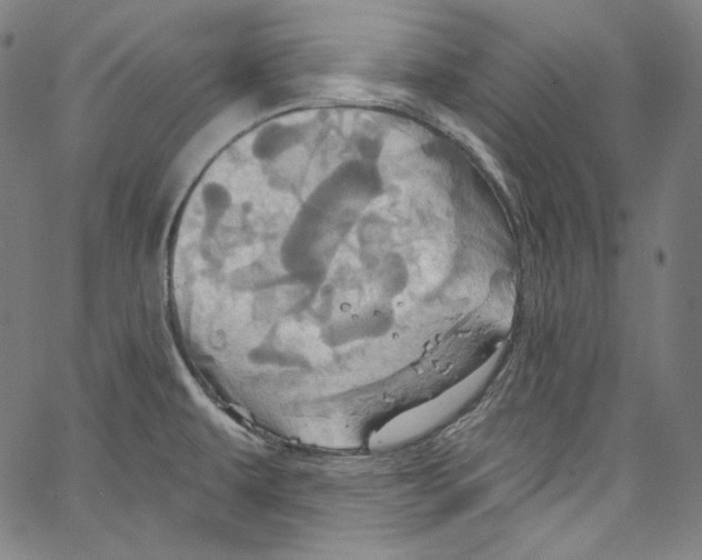 X0000067351479200604281429