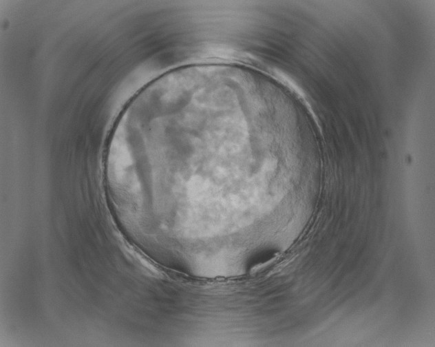 X0000067351480200604281429