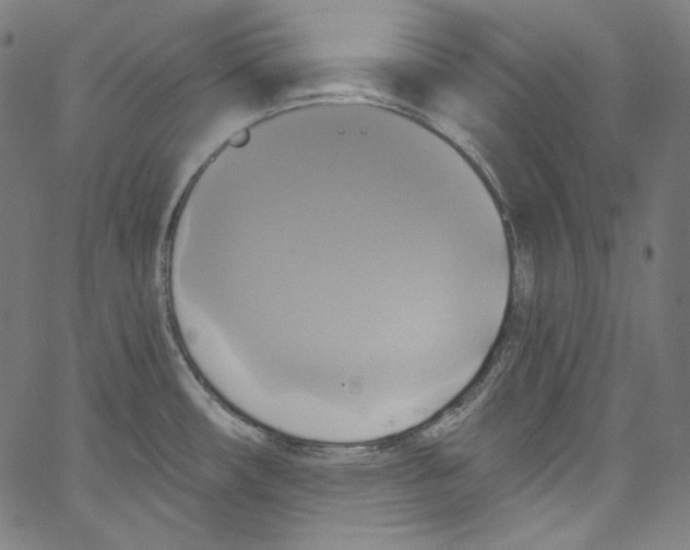 X0000067351482200604281429