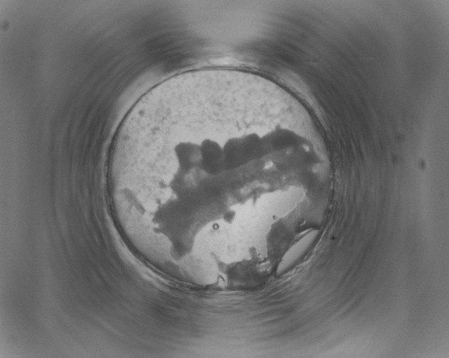 X0000067351483200604281429