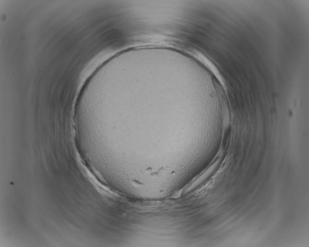 X0000067351485200604281429