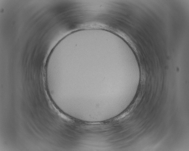 X0000067351486200604281429