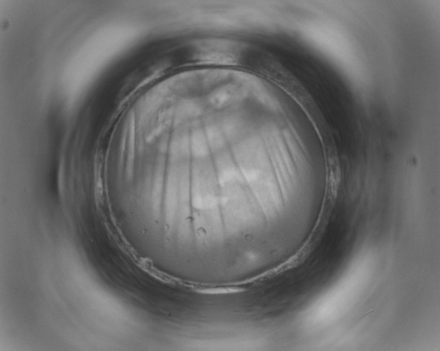 X0000067351487200604281429