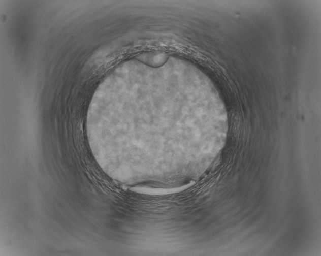 X0000067351489200604281428