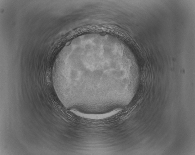 X0000067351490200604281428