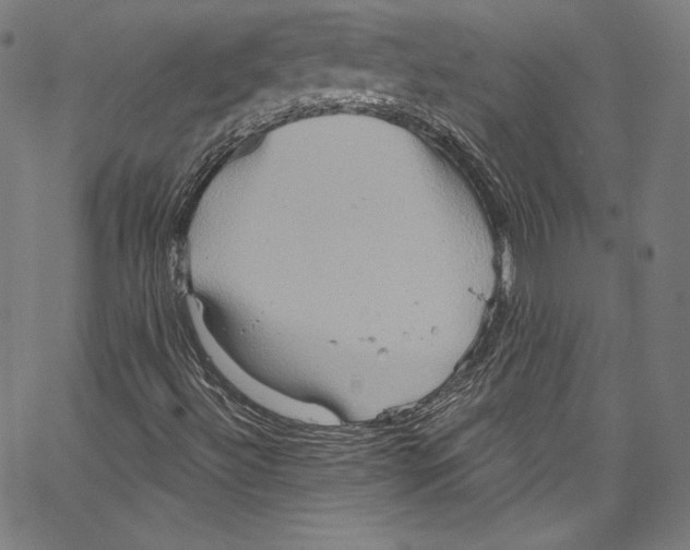 X0000067351492200604281428