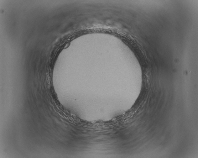 X0000067351493200604281428