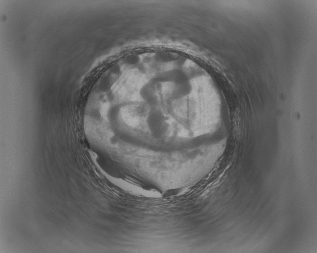 X0000067351494200604281428