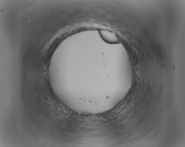 X0000067351495200604281428