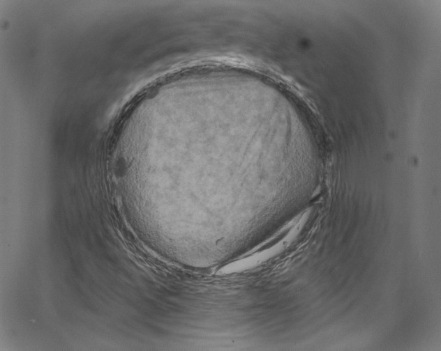 X0000067351496200604281428