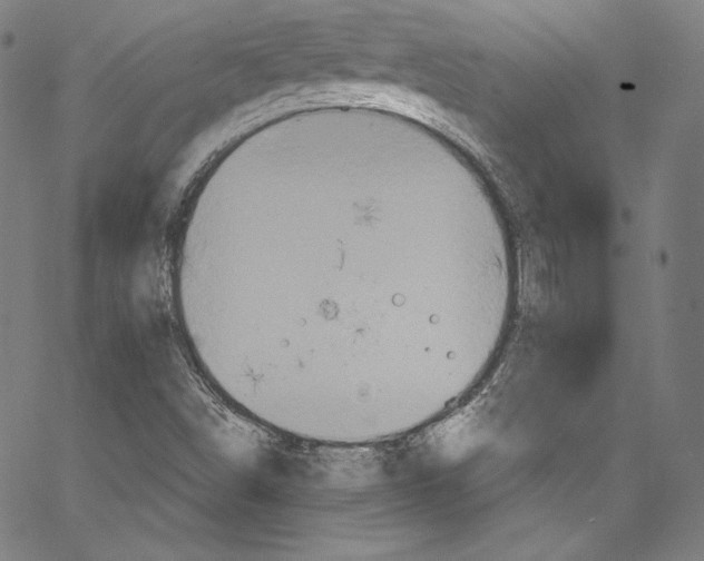 X0000067351498200604281428