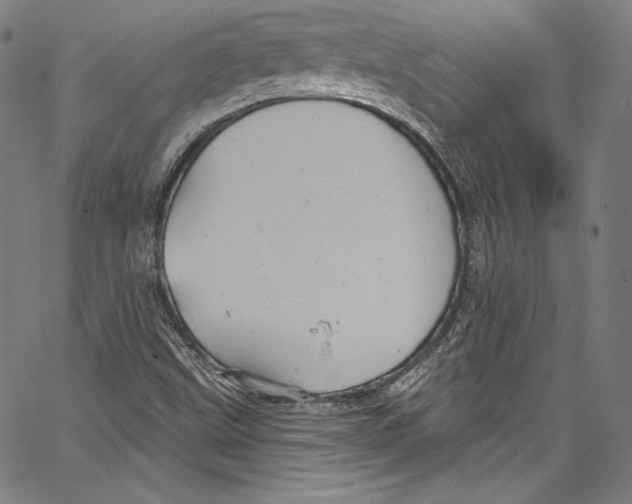 X0000067351499200604281428