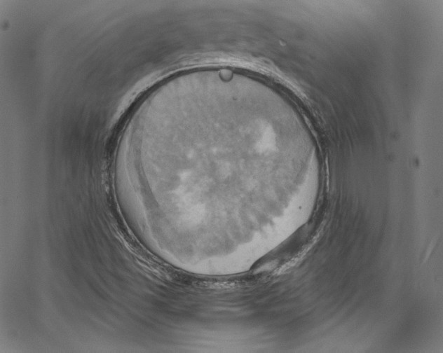 X0000067351501200604281428