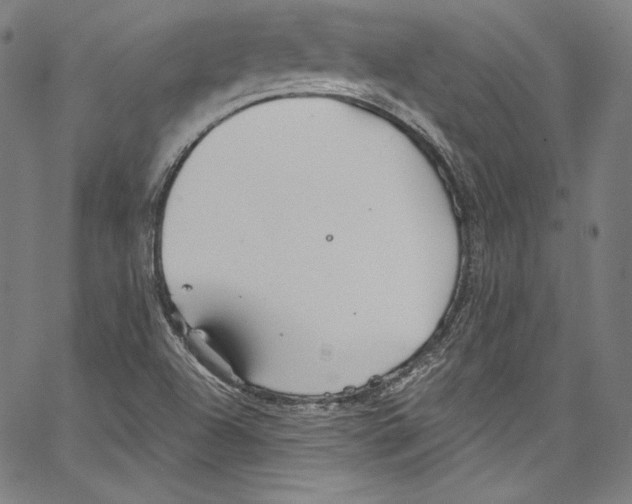 X0000067351504200604281429