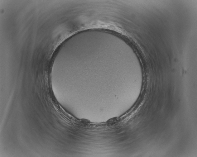 X0000067351505200604281429