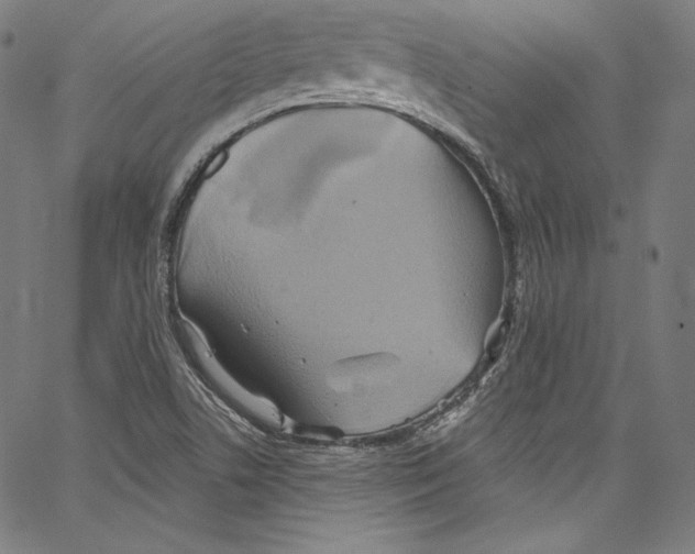 X0000067351506200604281429