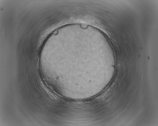 X0000067351507200604281429