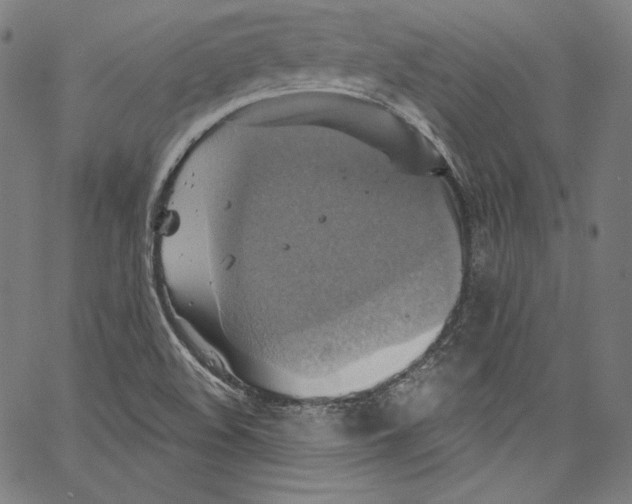 X0000067351508200604281429