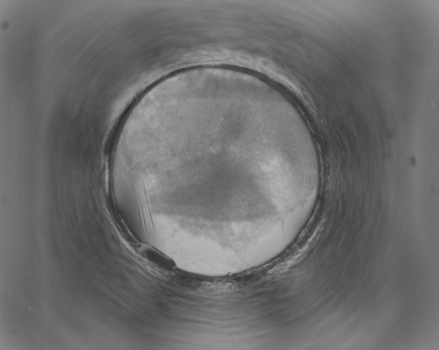 X0000067351509200604281429