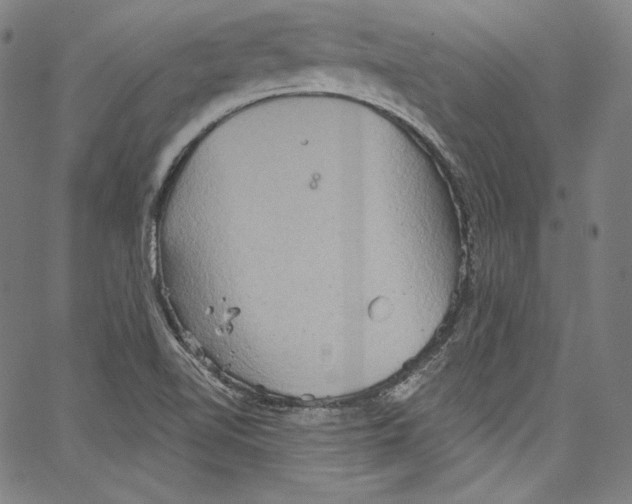 X0000067351510200604281429