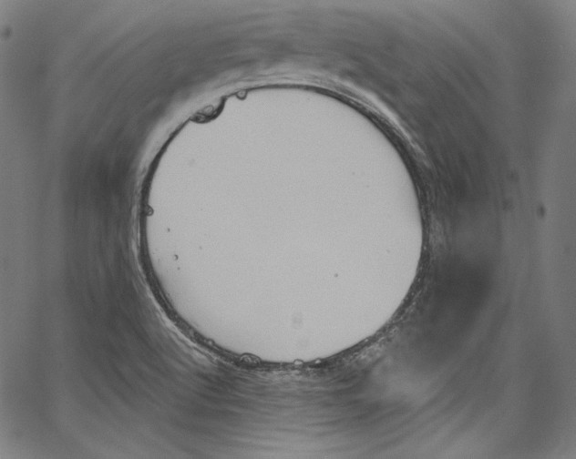 X0000067351512200604281429