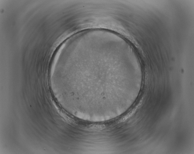 X0000067351513200604281429