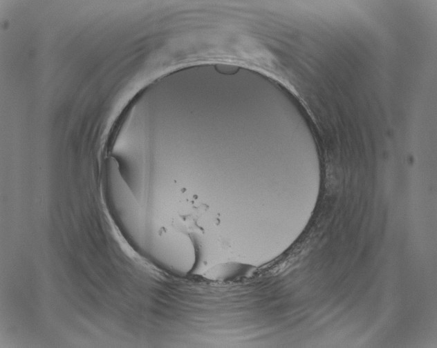 X0000067351515200604281429