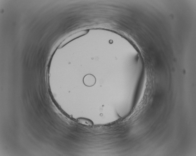 X0000067351516200604281429