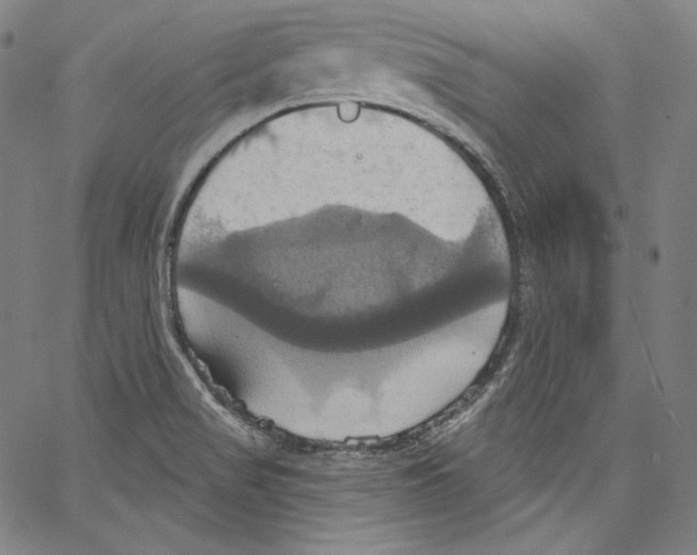 X0000067351517200604281429