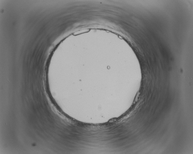 X0000067351518200604281429