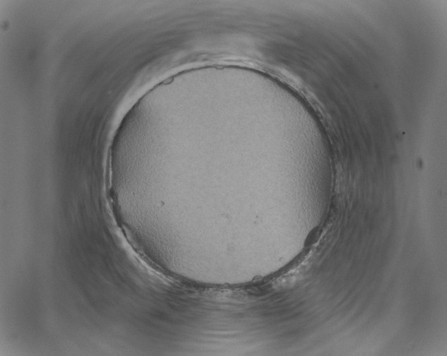 X0000067351520200604281429