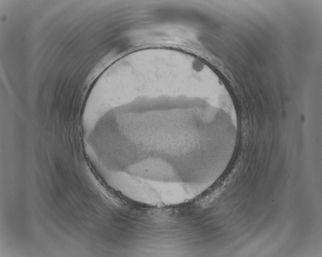 X0000067351521200604281429