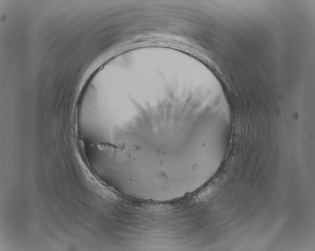 X0000067351522200604281429