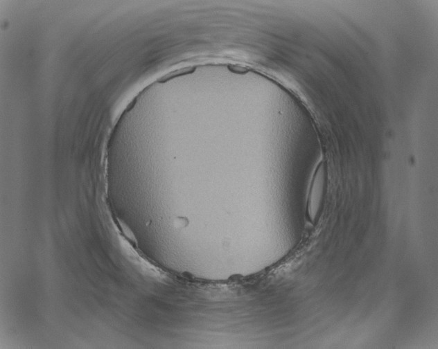 X0000067351524200604281429