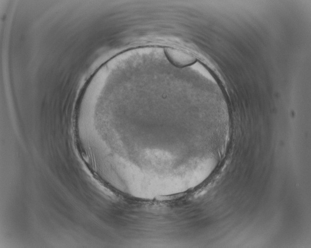 X0000067351525200604281429